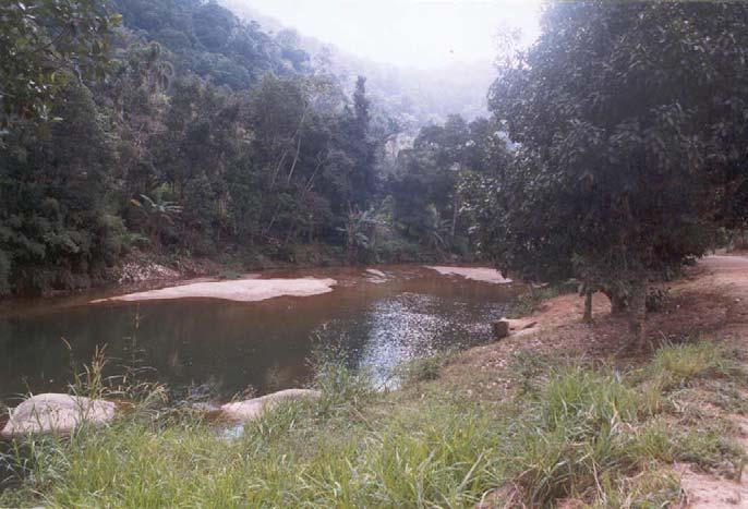 onde já assumiu padrão meandrante.