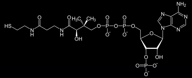ENXOFRE (S) - Macronutriente - Constituinte: Aminoácidos cisteína e metionina,
