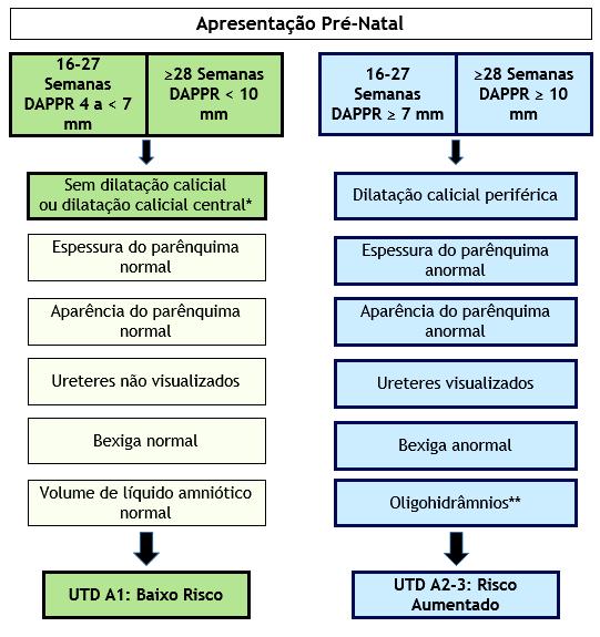 Tabela 3: Caraterísticas ecográficas a ser avaliadas na caraterização da gravidade da dilatação do sistema urinário (19).