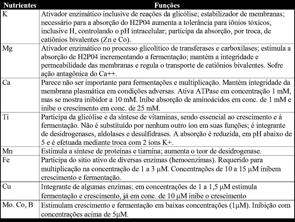 Principais nutrientes e suas funções