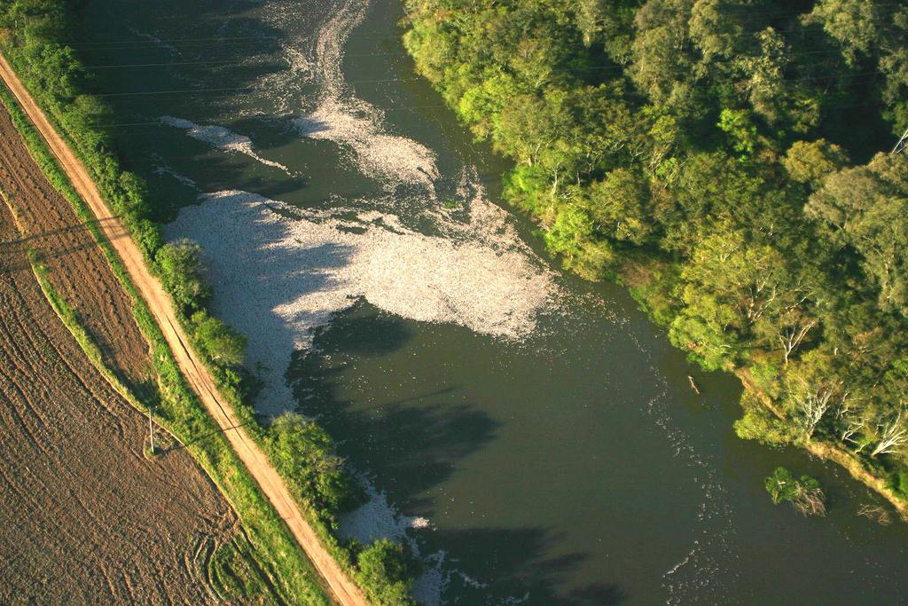 Rio dos Sinos