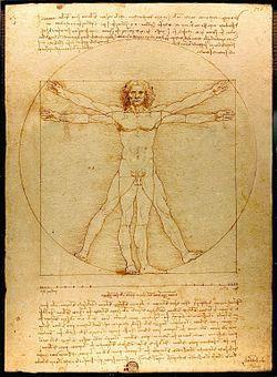Exibição no Data-show do texto:homem Vitruviano para relacionar o nº áureo com as proporções das medidas do corpo humano.