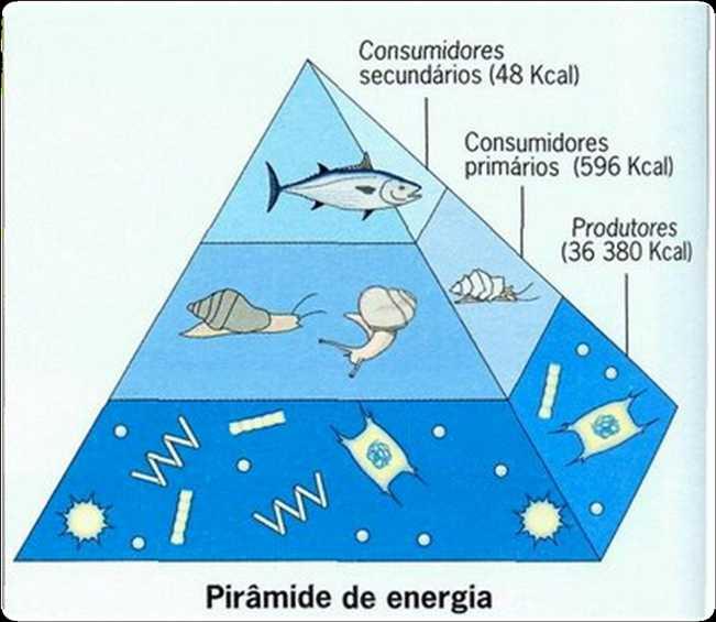 PIRÂMIDE