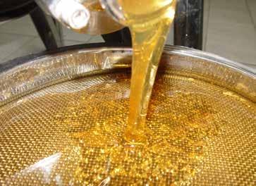 7 Foto: Fernando Sinimbu Simpósio sobre Perda de Abelhas no Brasil 3 a 5 de outubro de 2017 Teresina - PI País é destaque nas exportações Os números da produção de mel no Piauí e no Brasil são