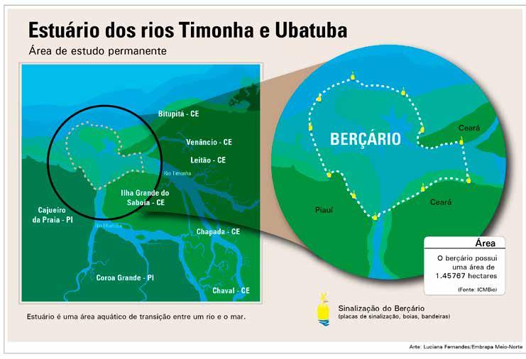 9 Biodiversidade, no município de Parnaíba, a 348 quilômetros ao norte de Teresina, já está fiscalizando o cumprimento da portaria. Os pescadores estão fazendo o dever de casa.