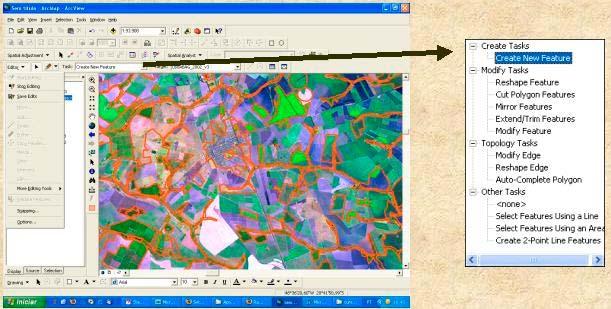 Figura 7: Visita a campo realizada na área de estudo, em março de 2005.