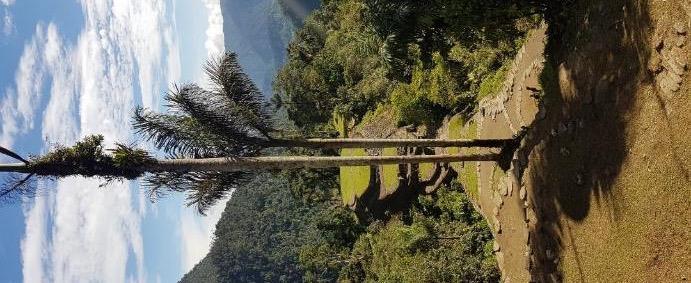 Cidade Perdida DIA 14 SANTA MARTA A C I D A D E P E R D I D A O dia começa com o café da manhã, seguido de uma caminhada de