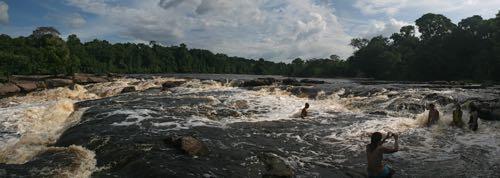 Pequena caminhada para visitar a grande arvore da Amazônia, a Samaúma. Navegando pelo Rio Jaú, rio de águas espelhadas, provável visualização de aves e mamíferos aquáticos.