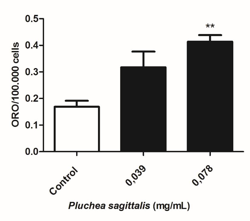 41 Fig.