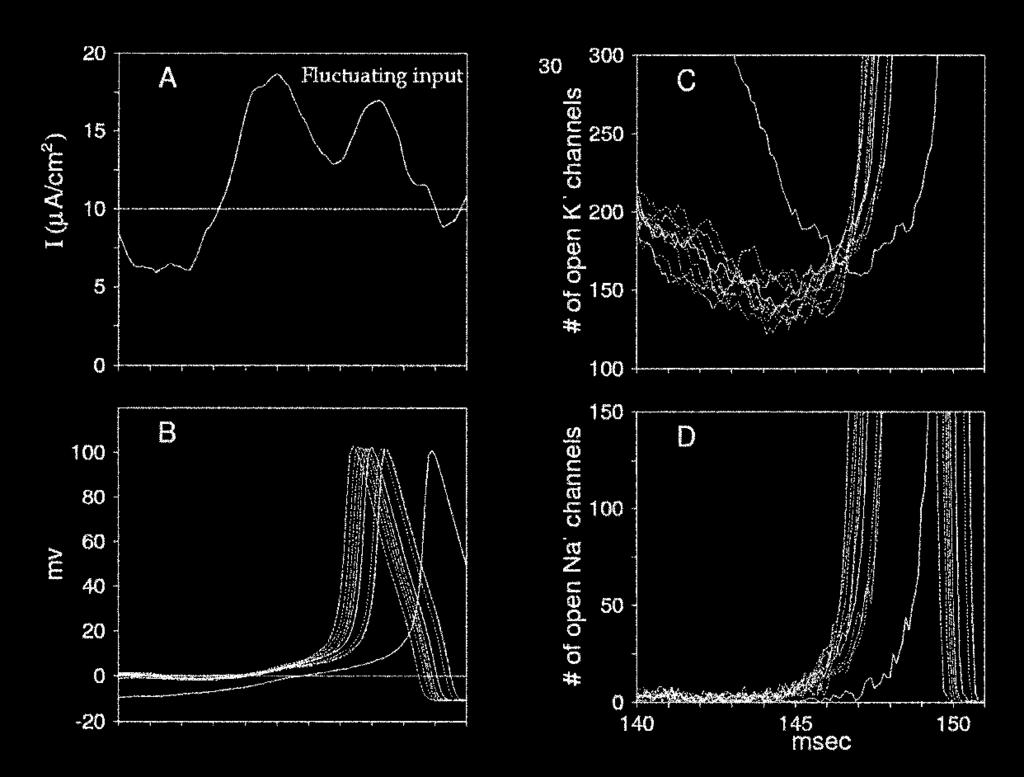 canais na membrana, mas sim quantos canais de sódio estão abertos próximo ao limiar de disparo.