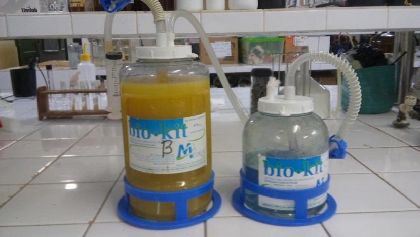 aims to implement a kinetic study of the production process of a common orange fermented drink, using the yeast Saccharomyces cerevisiae as the inoculation agent.