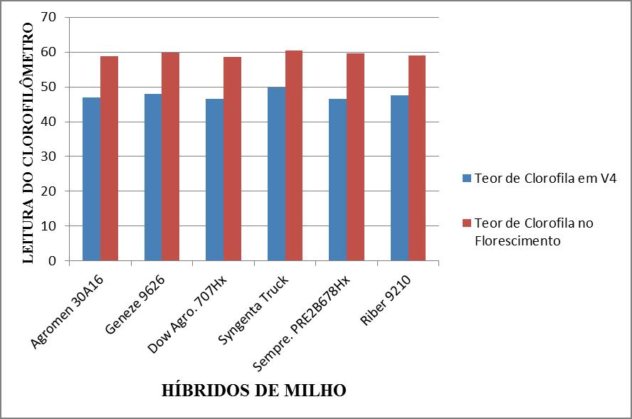 Figura 1 Leitura do clorofilômetro em dois estágios fenológicos da cultura do milho para 6 híridos de milho cultivados em segunda safra.