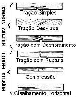 MOEd = ((VLL²)*( Da 9,8 ))*10-5 (1) Em que: MOEd = Módulo de elasticidade dinâmico (MPa); VLL = Velocidade de propagação de ondas (m s -1 ); Da = Densidade aparente (Kg m - ³); 9,8 = aceleração da