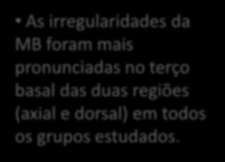 Irregularidades na membrana basal As irregularidades da MB foram mais