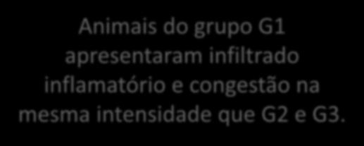 Animais do grupo G1 apresentaram infiltrado inflamatório e congestão na mesma intensidade que G2 e G3.