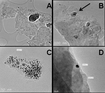 Soil matrix- more complex matrix Unspiked soil Ag NP clusters Aggregates 20-50 nm single particles 5-8 nm TEM images of unspiked (A) and Ag NP spiked (nominal