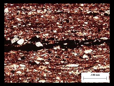 O processo de pirólise afeta a trama mineralógica das rochas (figura 1c e d), pois em níveis ricos em matéria orgânica o processo de fraturamento