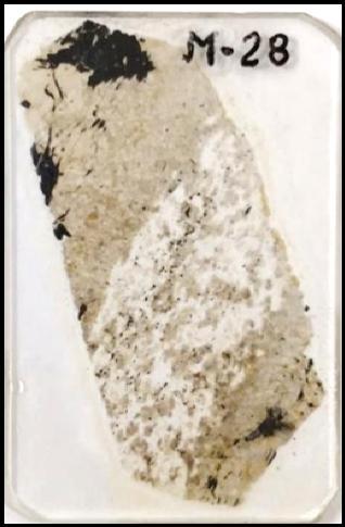 5.4 Estudo Petrográfico e de Química Mineral da Amostra M-28 Também fazendo parte do nível inferior do protominério pesquisado, nesta lâmina se verifica textura granoblástica granular e decussada,