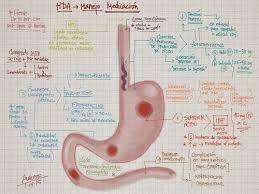 Hemorragia Digestiva Alta e Baixa Conceito: É o sangramento no tubo digestivo; é considerada alta quando se localiza entre a faringe e o duodeno; e baixa quando localizada do jejuno para baixo (íleo,