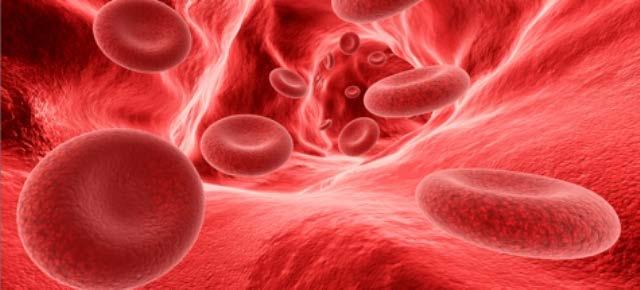 Hemoglobina: é uma proteína presente nas hemácias, responsável por pigmentar o sangue e transportar o oxigênio pelo corpo.