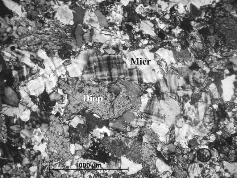 CARACTERIZAÇÃO PETROGRÁFICA DO HORIZONTE CALCIOSSILICÁTICO EM SCHEELITA, SP 143 calciossilicáticas da área estudada ainda não se encontra de todo esclarecida.