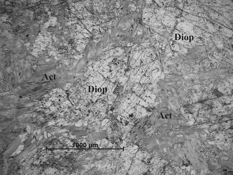 CARACTERIZAÇÃO PETROGRÁFICA DO HORIZONTE CALCIOSSILICÁTICO EM SCHEELITA, SP 145 Fig.