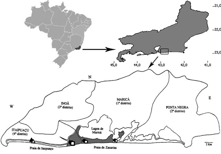 COLLEMBOLA PODUROMORPHA AS BIOINDICATOR OF ANTHROPOGENIC IMPACT ON RESTINGA AREAS, RJ, BRAZIL 43 Figure 1.
