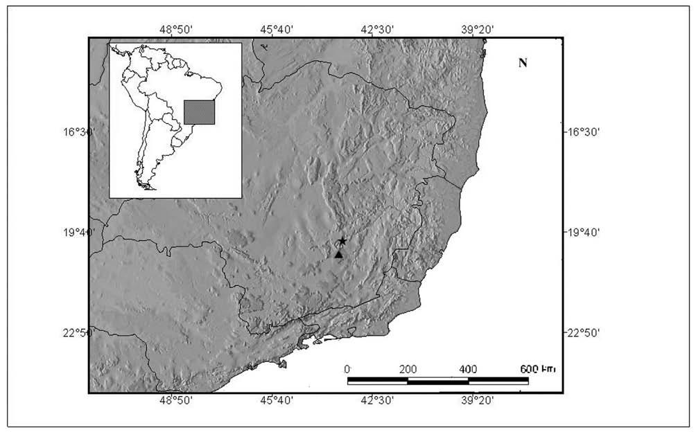 CANTO DE ANÚNCIO DE SCINAX LUIZOTAVIOI 77 Fig.2- Santa Bárbara (estrela) e Ouro Preto (triângulo), localidades onde foram gravados os cantos de Scinax luizotavioi.