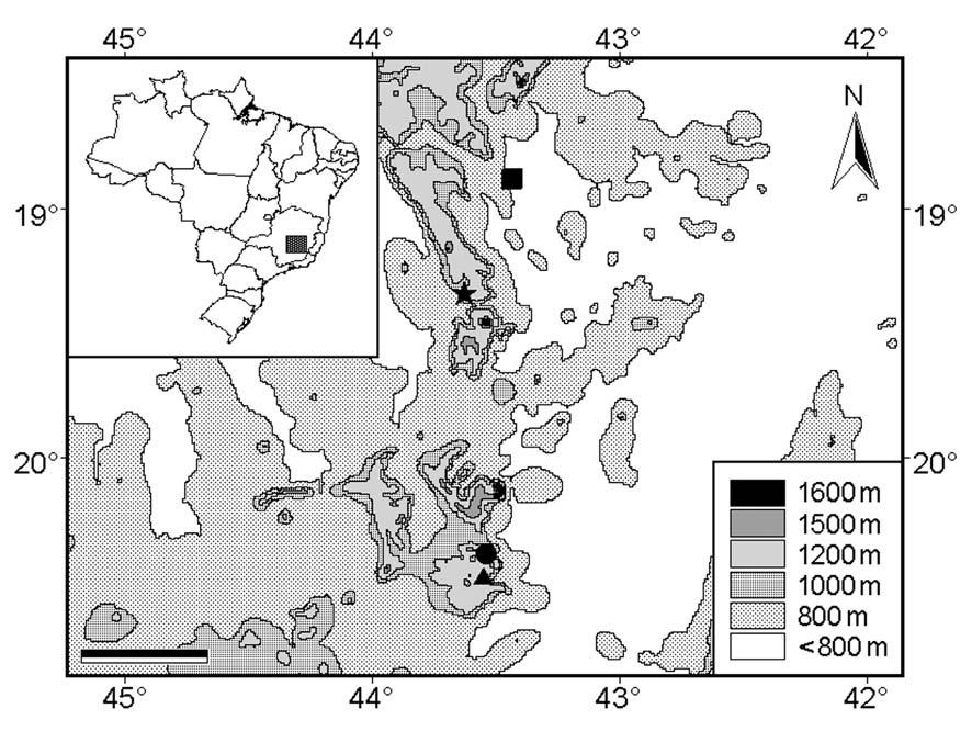 DISTRIBUIÇÃO GEOGRÁFICA E VARIAÇÃO FENOTÍPICA EM TANTILLA BAIPIRANGA 95 Católica de Minas Gerais (MCNR), em Belo Horizonte, MG, e mais um exemplar procedente do Município de Alvorada de Minas, MG