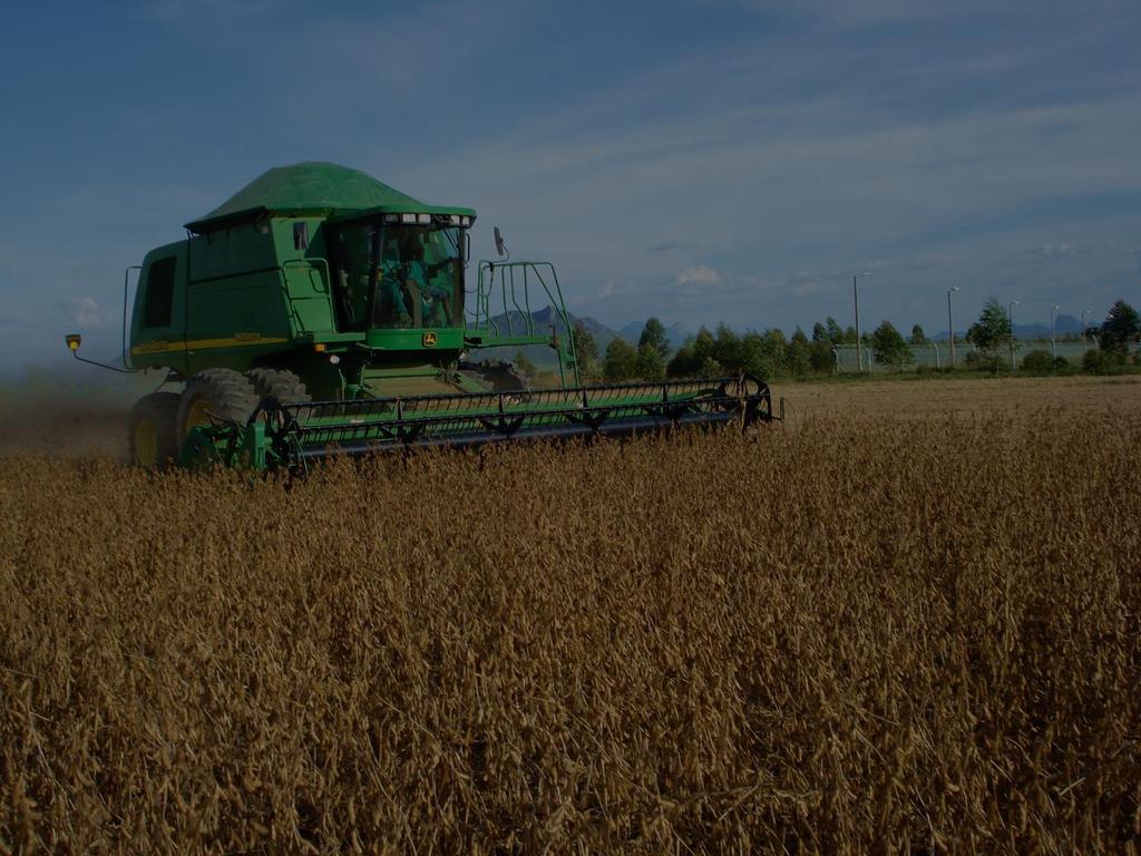 OBJECTIVOS DO DESENVOLVIMENTO AGRÍCOLA DE ANGOLA AUMENTAR A PRODUÇÃO DE CEREAIS PARA MAIS DE 5 MILHÕES DE TONELADAS ANO MELHORAR E AUMENTAR A PRODUÇÃO E A PRODUTIVIDADE DAS LEGUMINOSAS EM PARTICULAR