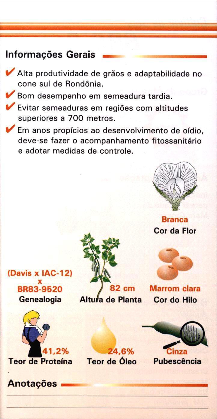 Informações Gerais - V Alta produtividade de grãos e adaptabilidade no cone sul de Rondônia. V Bom desempenho em semeadura tardia.