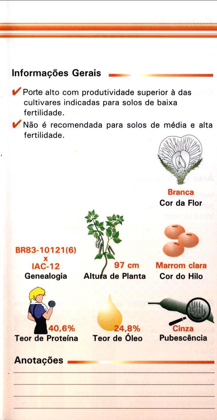 Informações Gerais V Porte alto com produtividade superior à das cultivares indicadas para solos de baixa fertilidade. V Não é recomendada para solos de média e alta fertilidade.