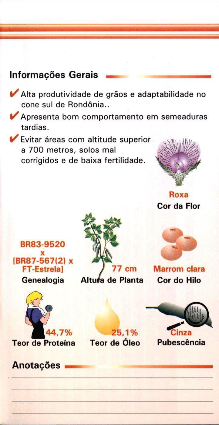 Informações Gerais VAlta produtividade de grãos e adaptabilidade no cone sul de Rondônia.. i/ Apresenta bom comportamento em semeaduras tardias.