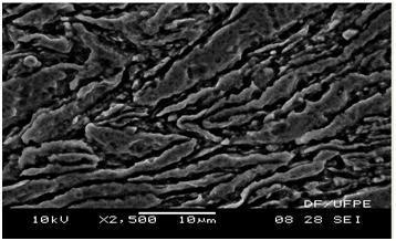 As figuras 9 e 10 apresentam micrografia de MO dos compósitos sinterizados da liga de alumínio AA6061 reforçadas com nitreto