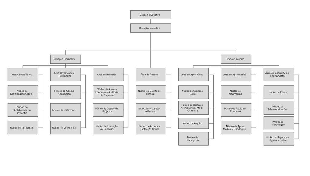 Figura 7: