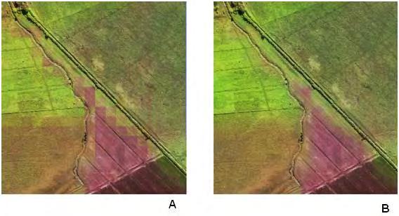 Figura 5 Fusão de imagens TM Landsat (5R4G3B) e QuickBird (pancromática) Área agrícola na porção nordeste do município de Jacareí, situada a W 45 57 00 - S 23