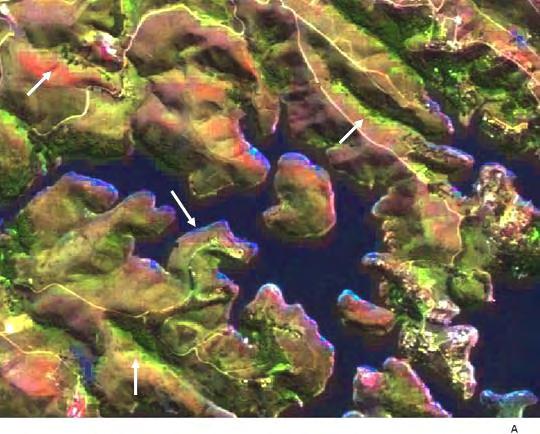 Figura 6 Fusão de imagens TM Landsat (5R4G3B) e Spot