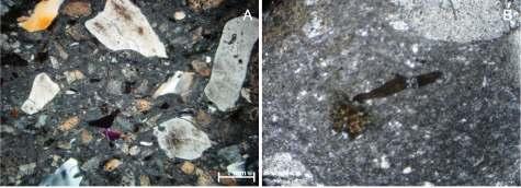 Figura 6.8. Detalhamento de minerais de titanita. Em geral são euedrais (a) ou ocorrem associadas a minerais máficos. b) detalhamento de titanita euedral fraturada. c) Detalhamento de fiamme.