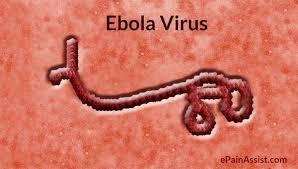 Ebola 24 Ebola vírus. Sintomas após 2 a 3 semanas de contato com o vírus. Contato com sangue e fluidos biológicos de um humano ou mamífero infectado.