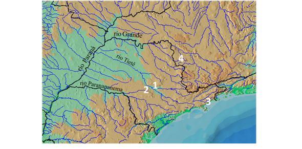 14 Figura 1: Mapa indicando os locais de coleta das espécies de Trichomycterus. 1. Rio Roseira, bacia do rio Tietê, município de Bofete, SP (T. iheringi); 2.