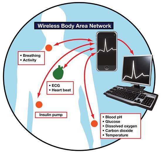 BODY AREA NETWORK (BAN) Também chamada de wireless body area network (WBAN) ou body sensor network (BSN), BAN é uma rede sem fio de dispositivos vestíveis.