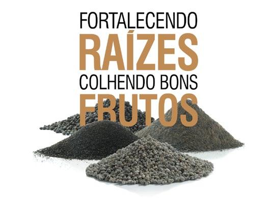 3.1 Apresentação de resultados analíticos ph...em H 2 O ou CaCl 2 0,01M MOS...g dm -3 (%MO = %C * 1,724) H...cmol c dm -3, mmol c dm -3 Al.