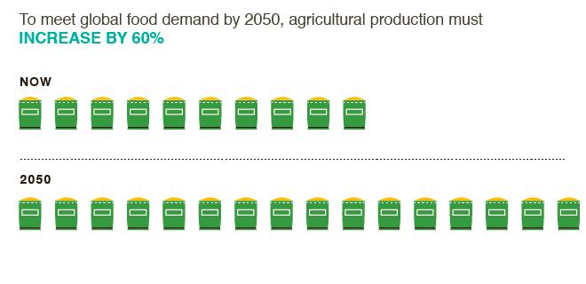 A produção tem que crescer 60% até 2050 https://ccafs.