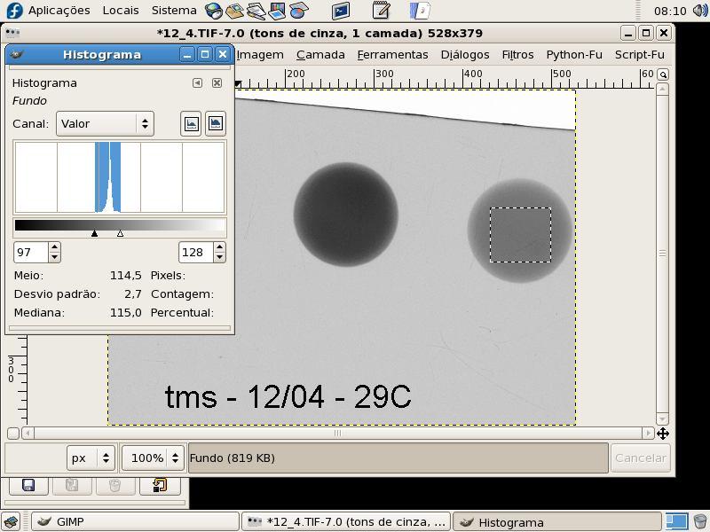 Figura 8 - Tela do programa de imagem Gimp 2.