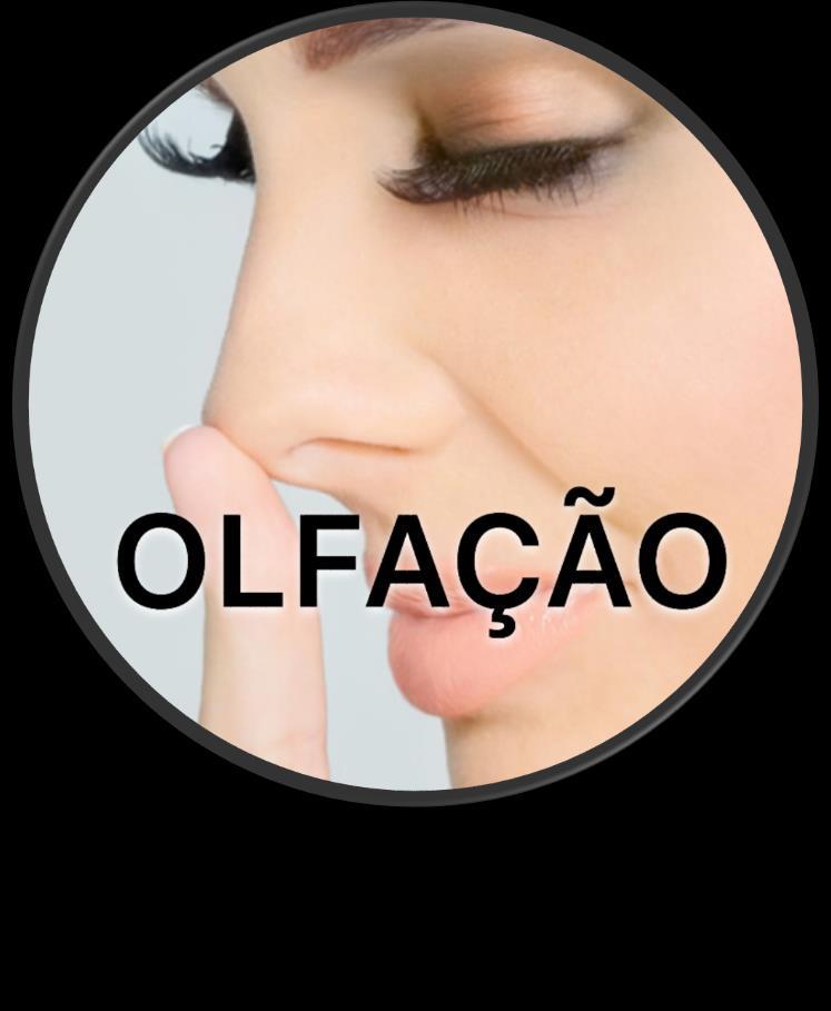 OLFAÇÃO 48