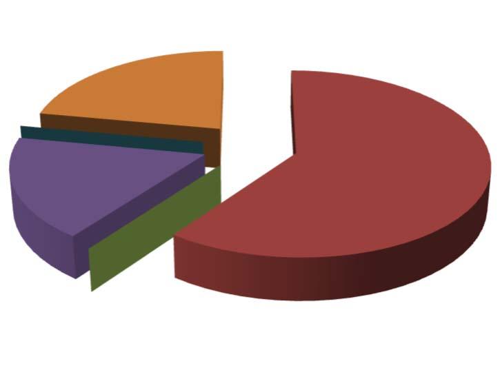 DISTRIBUIÇÃO DA CARTEIRA DE INVESTIMENTO / POR LIMITE DE APLICAÇÃO RENDA FIXA SEGMENTO VALOR APLICADO (em R$) Percentual sobre Patrimônio Líquido Títulos Públicos 0,0% F.I. 100% em Títulos Públicos (IMA) 65.