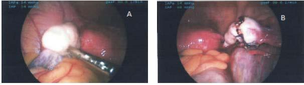 Obstetrics and