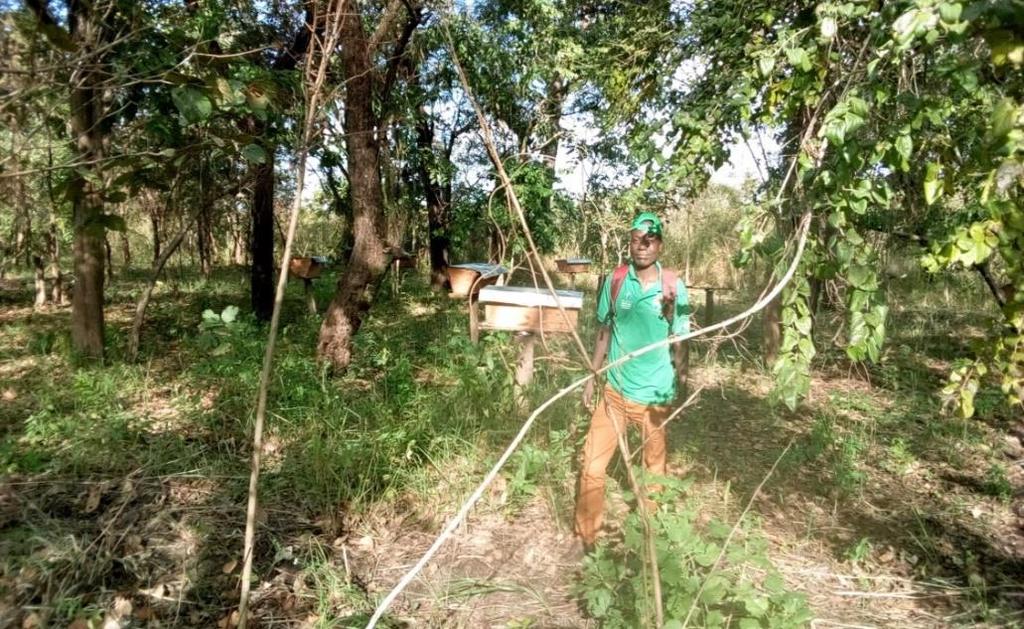 O PAPEL DAS COMUNIDADES LOCAIS Gestoras dos recursos naturais, geração de benefícios provenientes da