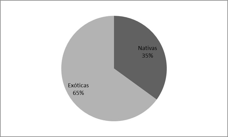 Figura 6 - Percentagem de espécies por origem Discussão No Jardim da Fundação Pinacoteca Benedito Calixto constatouse neste inventário o predomínio de espécies exóticas.