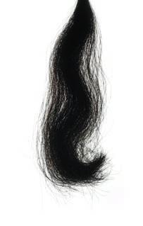 As fotos da Figura 3 mostram os resultados de dois estudos de redução do frizz realizados com mechas de cabelo tratadas com formulação de shampoo contendo 1% de em comparação com mechas tratadas com